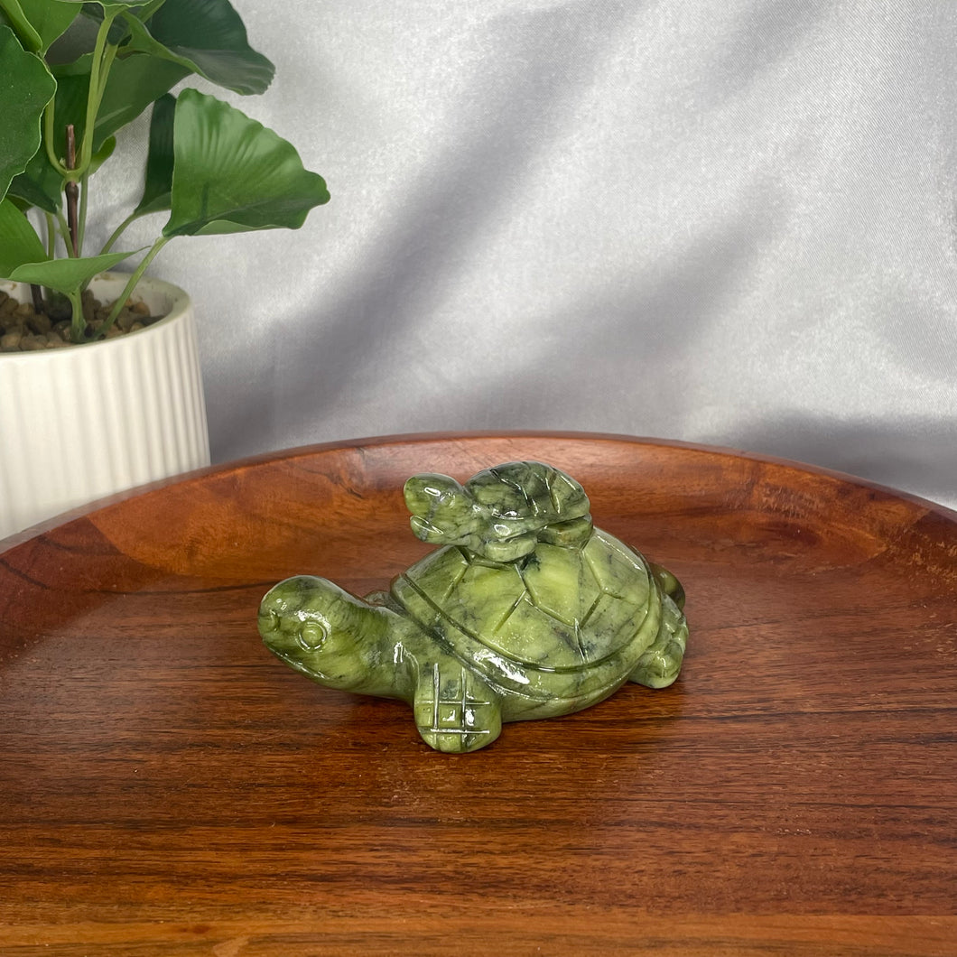 Serpentine Turtle with Baby
